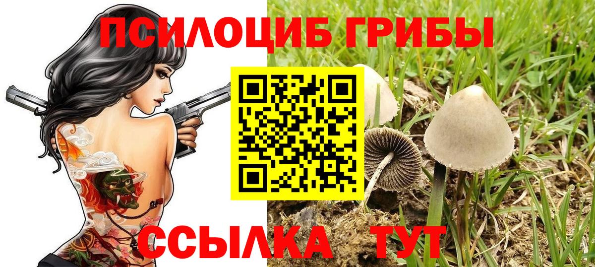 Псилоцибиновые грибы GOLDEN TEACHER Волжский
