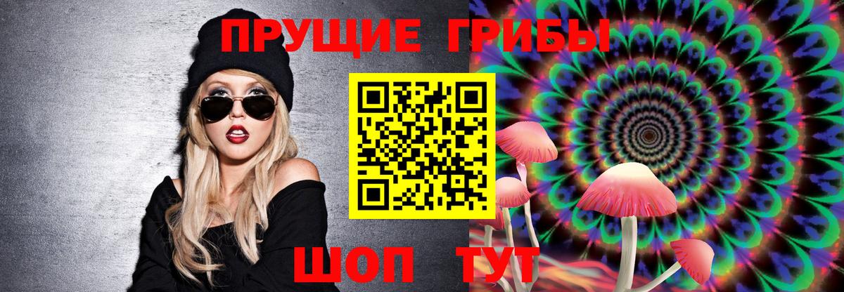 Волжский  Псилоцибиновые грибы Cubensis  наркошоп  Вход с VPN 